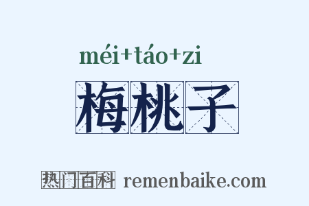 梅桃子是什么意思的图片